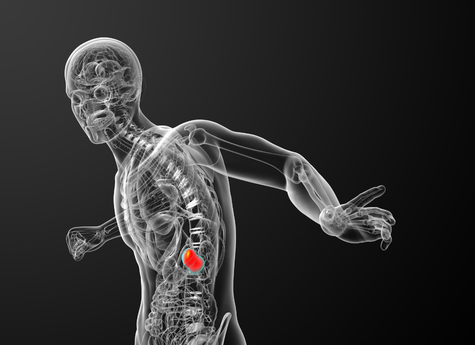 Virtual view of spleen position