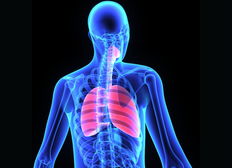 Infographic showing lungs inside chest cavity