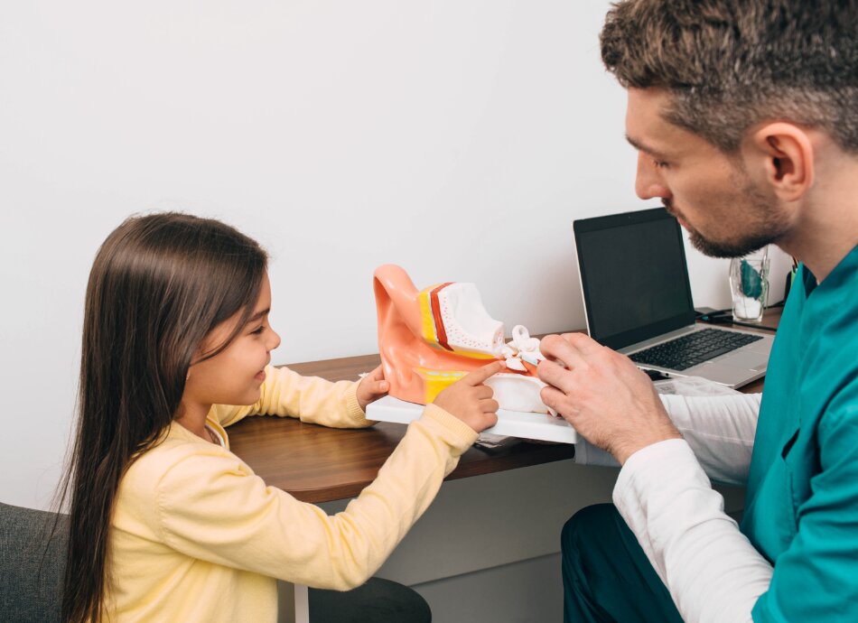 Young girl and audiologist looking at plastic model of the ear