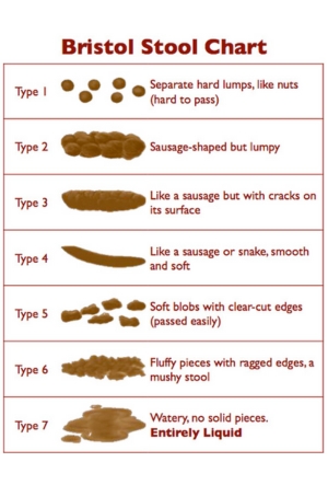 Bristol stool chart (poo)