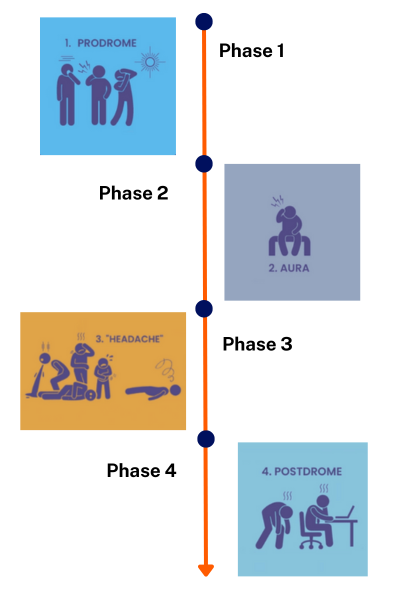 4 phases of a migraine attack