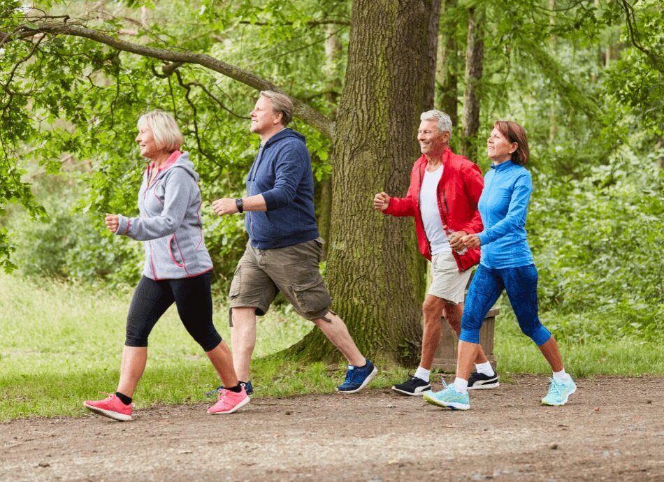 Group of adults walking along track through trees 