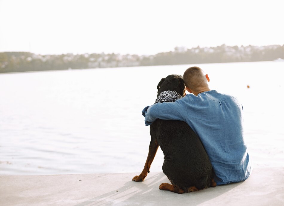 Young man with dog looking at sea canva 950x690