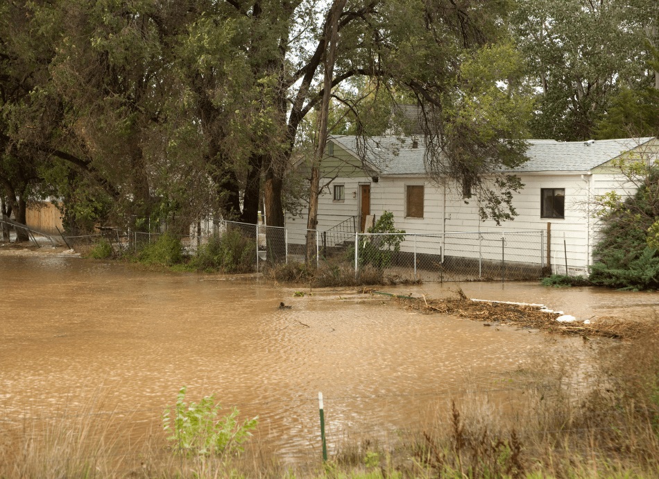 Flooded property with garden under water