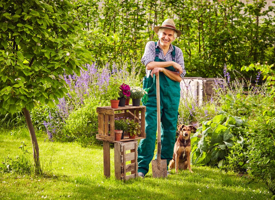 Man gardening with his dog