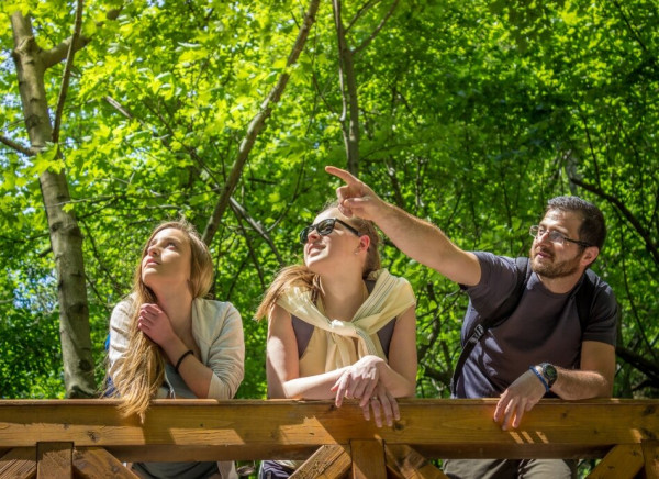 Friends looking at things in the bush