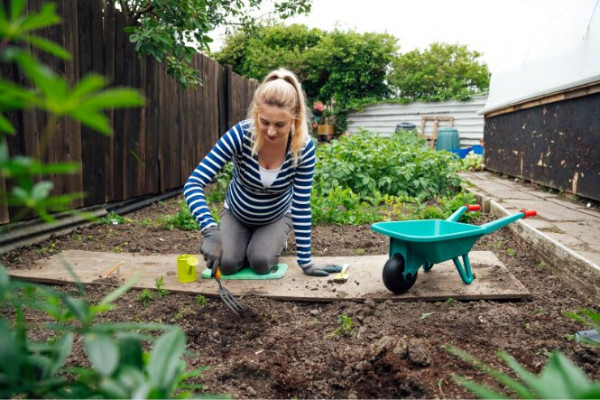 Pregnant woman gardening wearing gloves