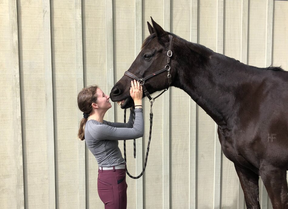 Young woman patting large black horse