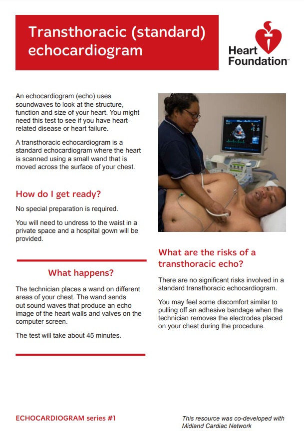 echocardiogram transthoracic