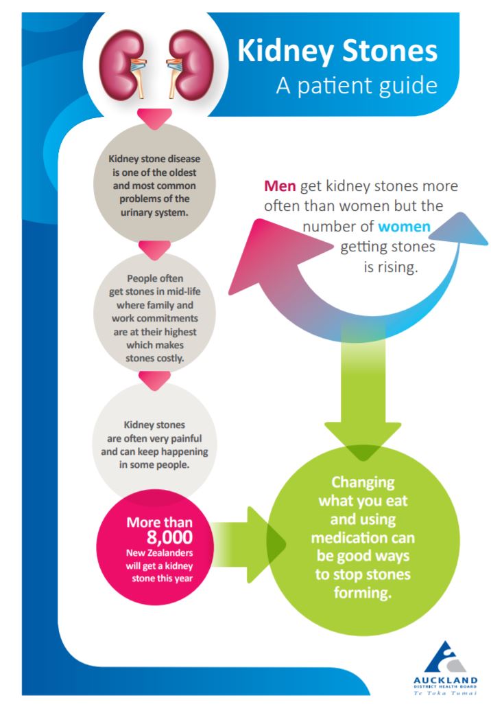 kidney stones a patient guide