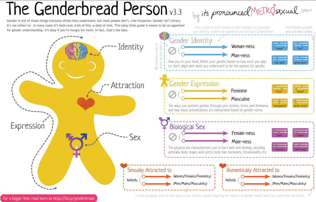 the genderbread person genderbread nz