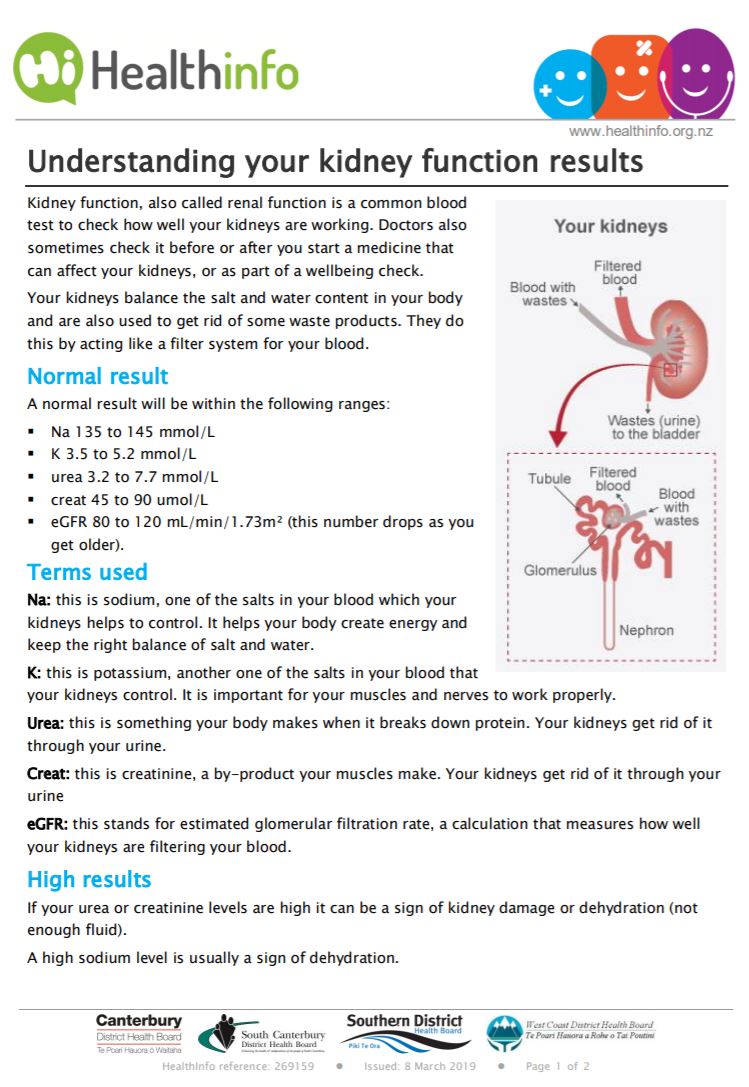 understanding your kidney function results