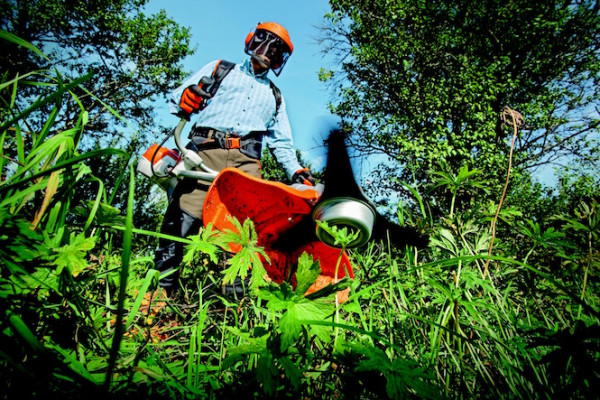 Man using a scrub cutter wearing protective gear